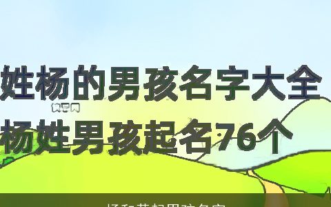 杨和黄起男孩名字