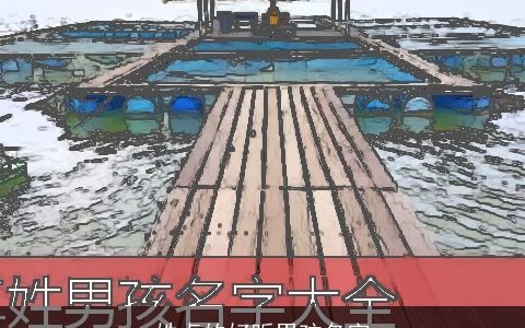 姓卓的好听男孩名字