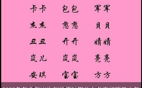 2023兔年今年出生赵姓男孩取什么名字好听又大气