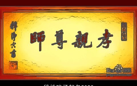 段姓孩子起名2023