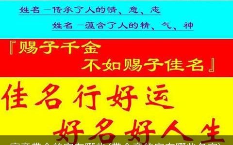 寓意带金的字有哪些(带金旁的字有哪些名字)