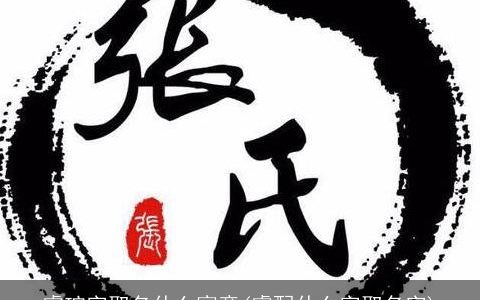 睿琮字取名什么寓意(睿配什么字取名字)