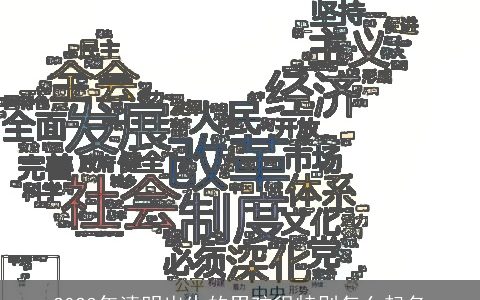 2023年清明出生的男孩很特别怎么起名