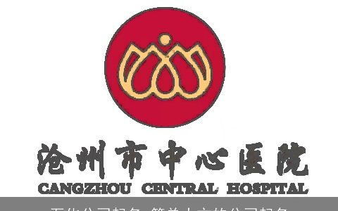 石化公司起名 简单大方的公司起名