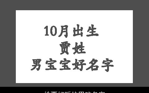 姓贾好听的男孩名字