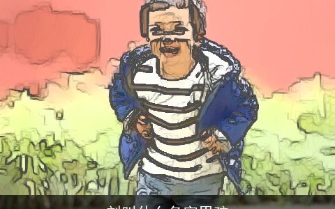 刘叫什么名字男孩