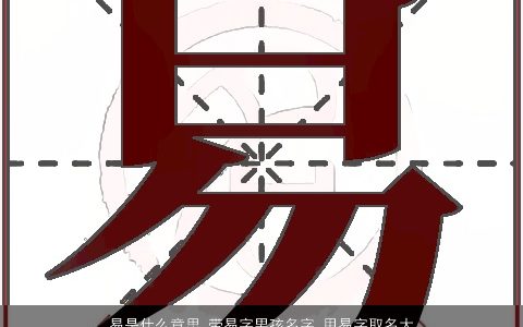 易是什么意思 带易字男孩名字 用易字取名大全的寓意 2023好听寓意的带易字男孩名推荐
