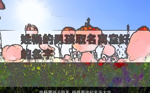 姓杨男孩子取名_杨姓男孩起名字大全 2024好听洋气的杨姓男孩名字大全