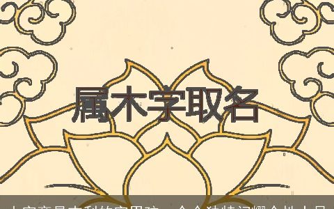 山字旁最吉利的字男孩  个个独特闪耀个性十足
