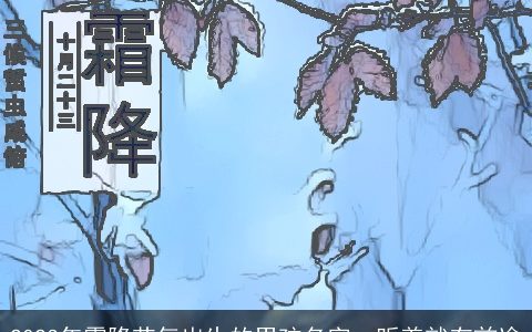 2023年霜降节气出生的男孩名字  听着就有前途