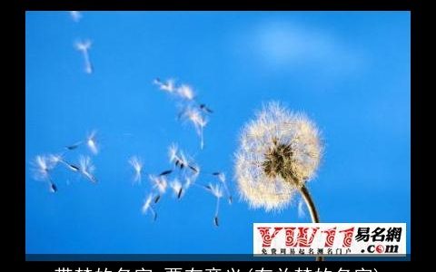 带梦的名字 要有意义(有关梦的名字)