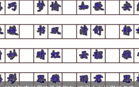 2023年李姓男孩最佳取名 响亮大方的男孩名字