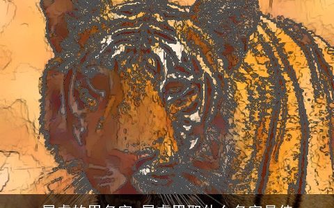 属虎的男名字 属虎男取什么名字最佳