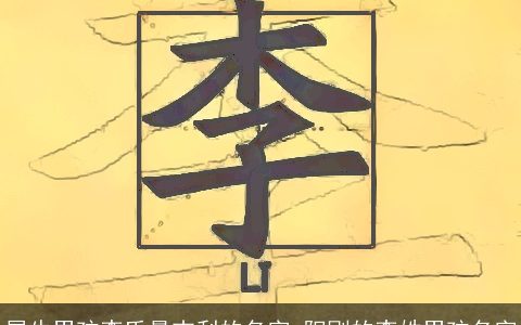 属牛男孩李氏最吉利的名字 阳刚的李姓男孩名字