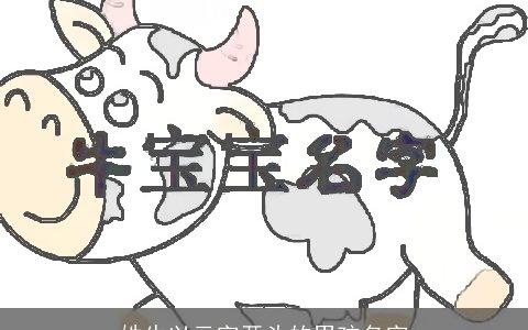 姓牛以云字开头的男孩名字
