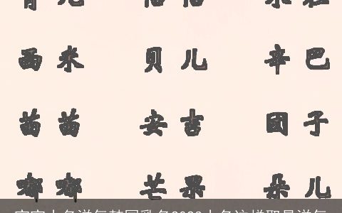 宝宝小名洋气韩国乳名2024小名这样取最洋气