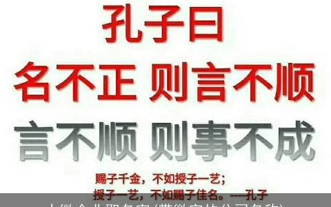 小微企业取名字(带微字的公司名称)