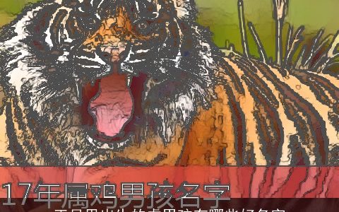 正月里出生的虎男孩有哪些好名字