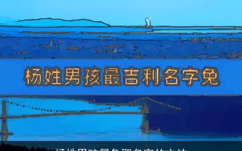 杨姓男孩属龙取名字的方法