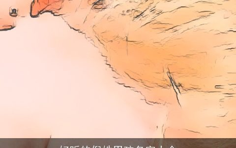 好听的倪姓男孩名字大全