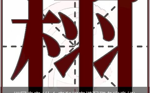 栩同音字(什么字和栩字搭配取名寓意好)