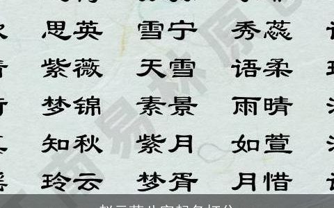 赵云荻八字起名打分