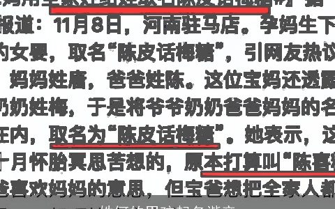 姓何的男孩起名谐音