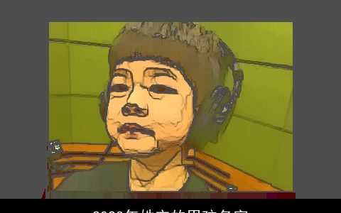 2023年姓宋的男孩名字