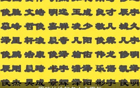 男孩杜姓起名大全霸气