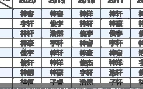 2023年3月出生的男孩起名用字 读音有气势的名字