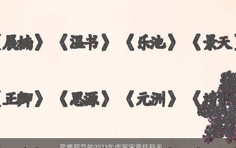 高雅霸气的2024年虎宝宝最佳取名文质彬彬有勇有谋的男孩名字大全精选