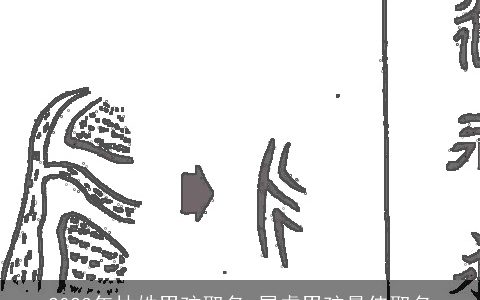 2024年林姓男孩取名 属龙男孩最佳取名