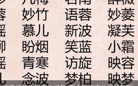 寓意好的生僻字公司名(四个字响亮公司的名字)