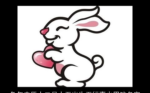 兔年农历十二月十五出生五行喜火男孩名字