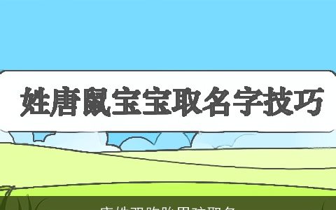 唐姓双胞胎男孩取名