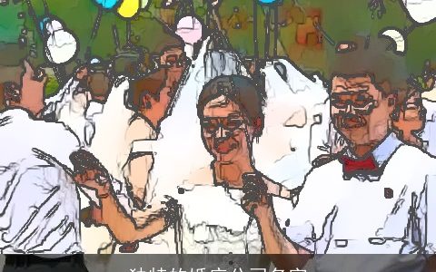 独特的婚庆公司名字