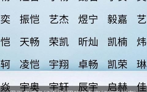 用飞字取名好不好(男孩起名字好寓意的字)