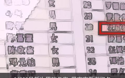 2月25日新生男孩名字 男宝宝新潮取名