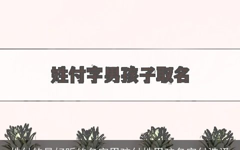 姓付的最好听的名字男孩付姓男孩名字付浩泽