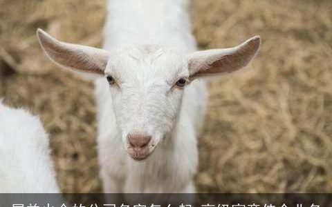 属羊火命的公司名字怎么起 高级寓意佳企业名