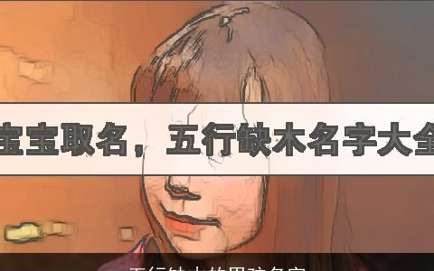 五行缺木的男孩名字