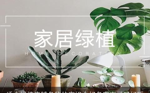 适合绿植店铺名称的字组合好名字吉祥又好听