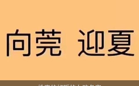 姓廖的好听的女孩名字