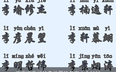 响亮寓意好的李姓男孩名字大全2023