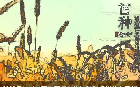 2024年6月6日芒种节气出生男孩起名用什么字好