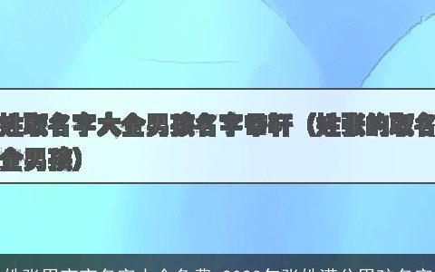 姓张男宝宝名字大全免费 2023年张姓满分男孩名字