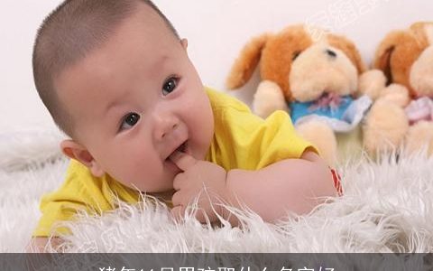 猪年11月男孩取什么名字好