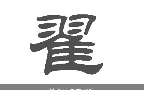 姓翟的名字男孩