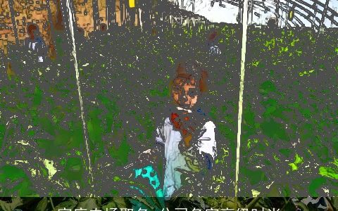 家庭农场取名 公司名字高级时尚