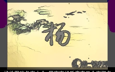 杨姓男孩名字大全 男宝宝杨氏豪爽三个字取名